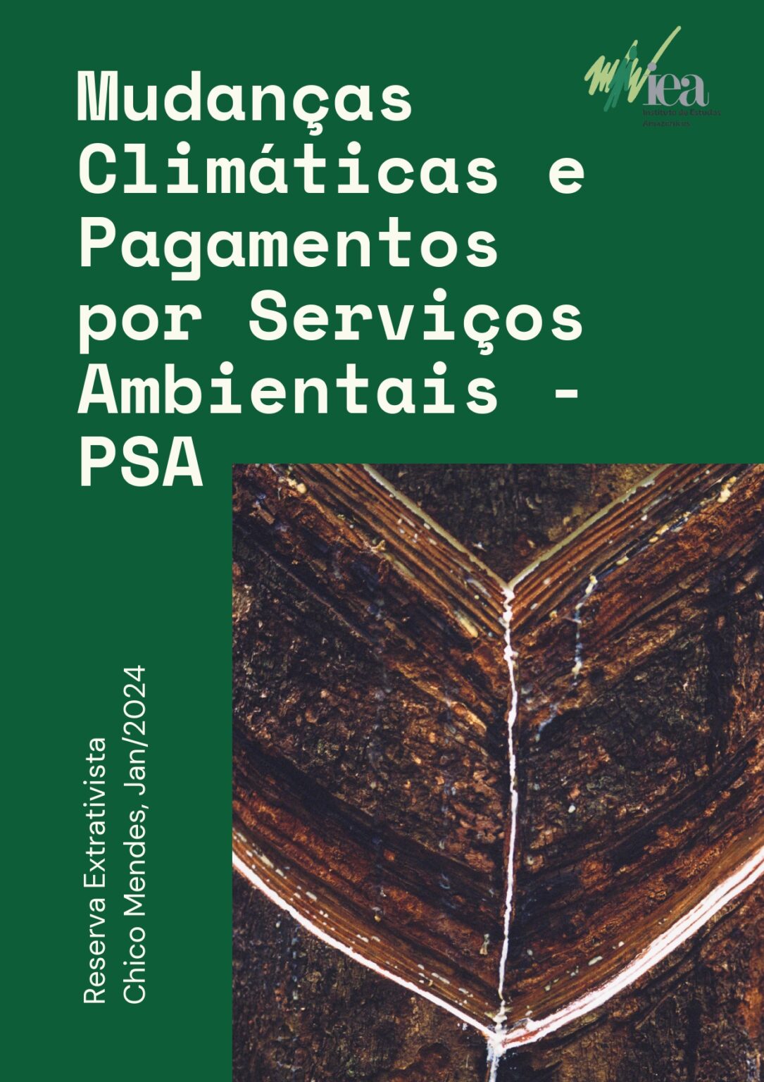 Mudan As Clim Ticas E Pagamentos Por Servi Os Ambientais Psa Cns Brasil