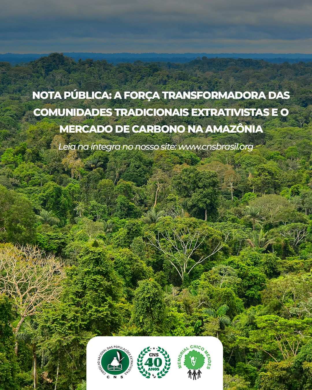 NOTA PÚBLICA:  A FORÇA TRANSFORMADORA DAS COMUNIDADES TRADICIONAIS EXTRATIVISTAS E O MERCADO DE CARBONO NA AMAZÔNIA