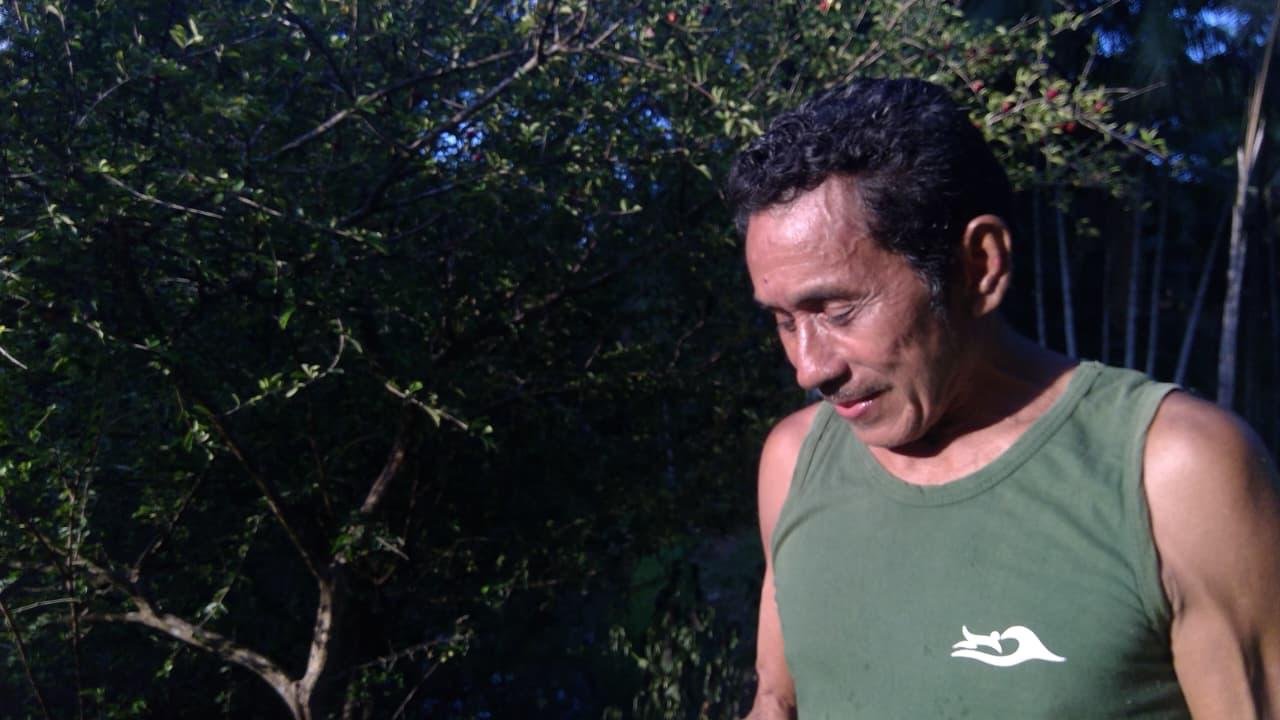 Semana Dudu da Floresta reúne comunidades e especialistas para discutir futuro dos territórios tradicionais no Marajó