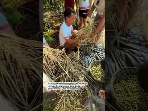 Segundo dia da Semana Dudu da Floresta